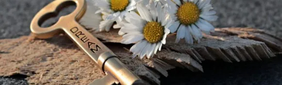 A close up of some flowers and a knife